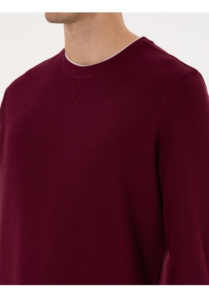 Erkek Bordo Regular Fit Sweatshirt 50311649-VR177