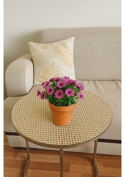 Gold Desenli 3’lü Sehpa Örtüsü Takımı Yıkanabilir Pvc Çeyizlik Kolay Temizlenen Klasik Lüks Model indirimleri