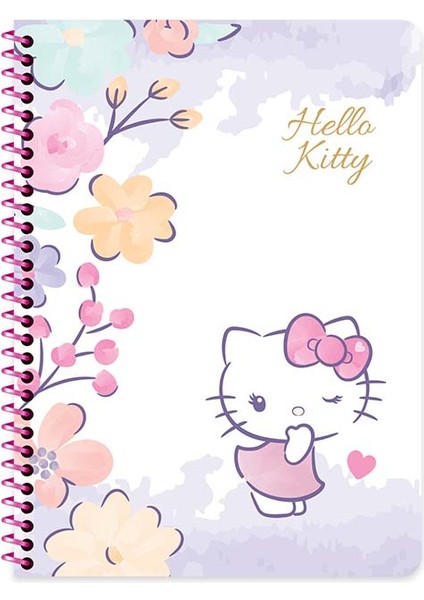 380632-08 16.5X22.5 80YP Kareli Hello Kitty Spr Krtn Kpk Def fiyatları