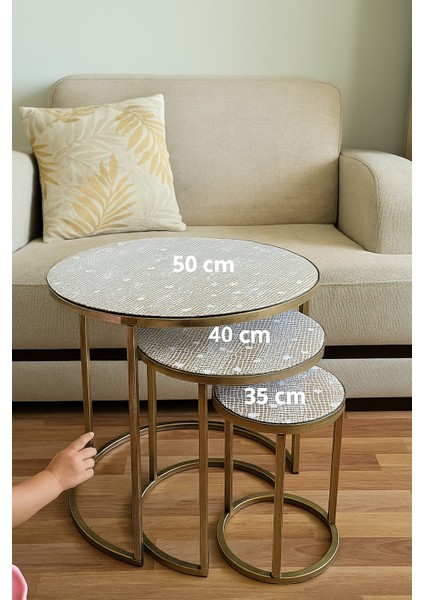 Şık Tasarımlı Pvc 3’lü Sehpa Örtüsü Takımı Kolay Yıkanabilir Leke Tutmaz Salon Dekoratif Örtü