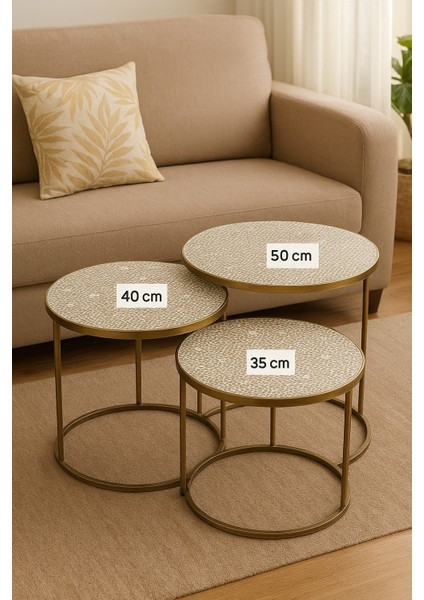 Şık Tasarımlı Pvc 3’lü Sehpa Örtüsü Takımı Kolay Yıkanabilir Leke Tutmaz Salon Dekoratif Örtü fiyatları