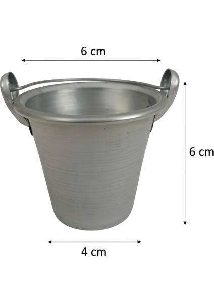 5 Renkli Çok Amaçlı Dekoratif Galvaniz Mini Saksı Kaktüslük Seti modelleri