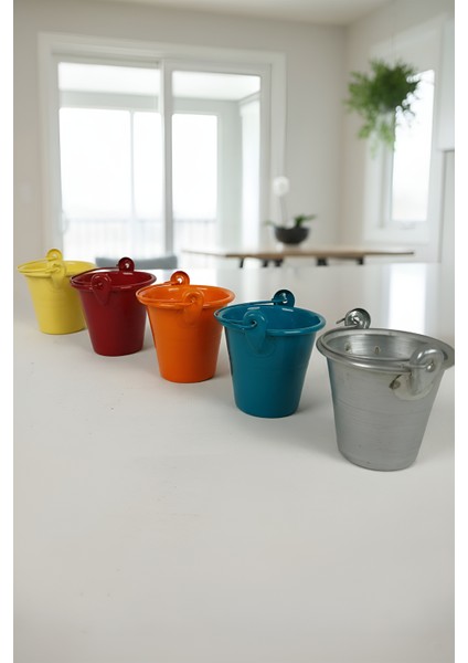 5 Renkli Çok Amaçlı Dekoratif Galvaniz Mini Saksı Kaktüslük Seti fiyatları