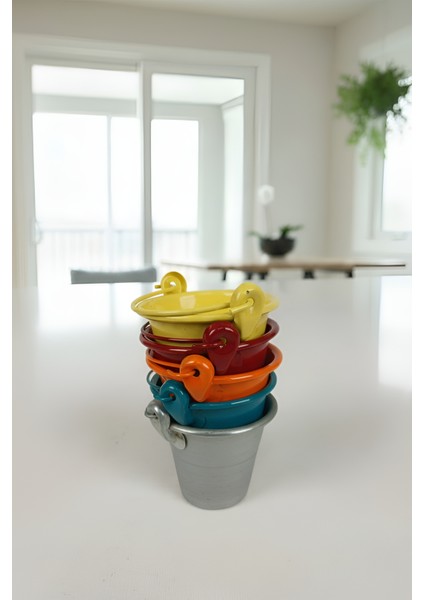 5 Renkli Çok Amaçlı Dekoratif Galvaniz Mini Saksı Kaktüslük Seti indirimleri