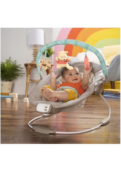 Sallanan Bebek Titreşimli Ana Kucağı fiyatları