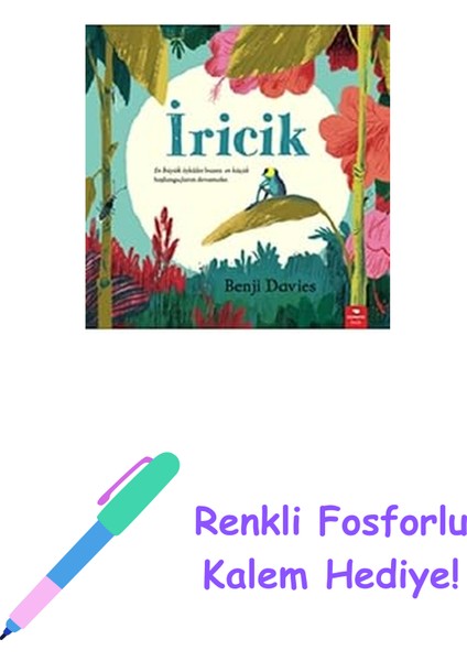 Iricik + Renkli Fosforlu Kalem