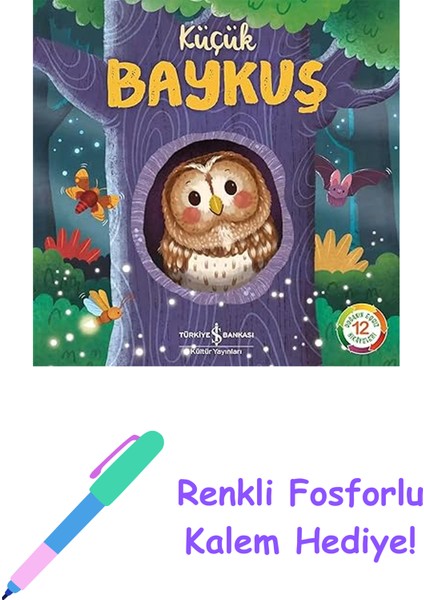 Küçük Baykuş: Doğanın Eşsiz Hikayeleri 12 + Renkli Fosforlu Kalem