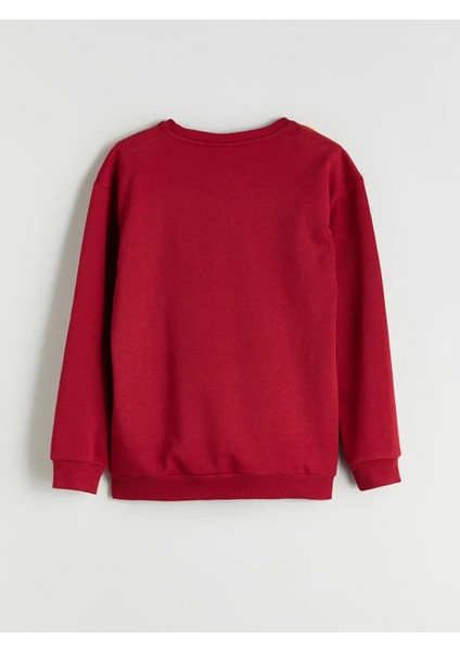 Bisiklet Yaka Galatasaray Baskılı Erkek Çocuk Eşofman Takımı (W5) fırsatları