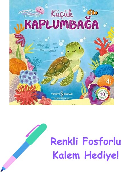 Küçük Kaplumbağa: Doğanın Eşsiz Hikayeleri 10 + Renkli Fosforlu Kalem