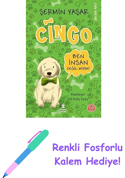 Cingo Sc + Renkli Fosforlu Kalem
