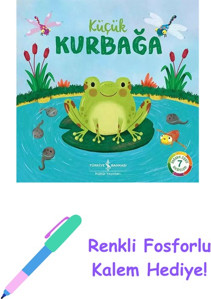 Küçük Kurbağa + Renkli Fosforlu Kalem