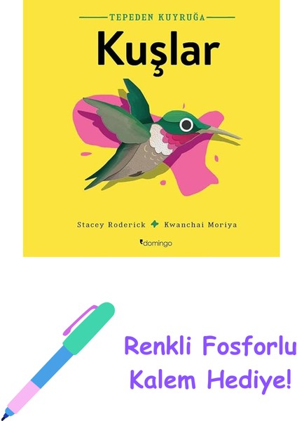Tepeden Kuyruğa - Kuşlar + Renkli Fosforlu Kalem