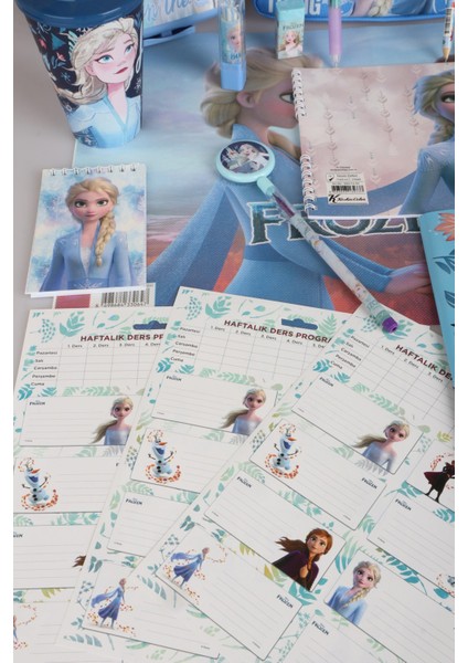 Dekomus Lisanslı Elsa Frozen "okul Çantası ve Beslenme Çantası,beslenme Kabı ve 500 ml Trıtan Matara Okul Seti fiyatları