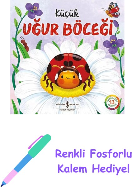 Küçük Uğur Böceği + Renkli Fosforlu Kalem