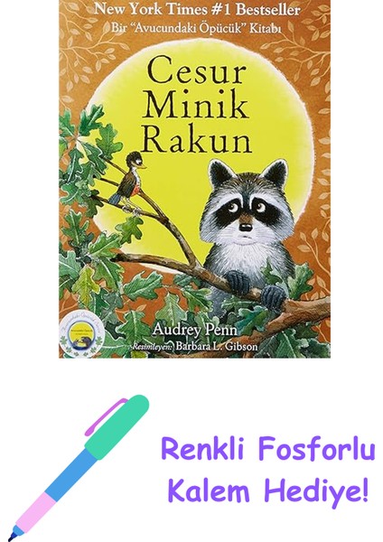 Cesur Minik Rakun + Renkli Fosforlu Kalem