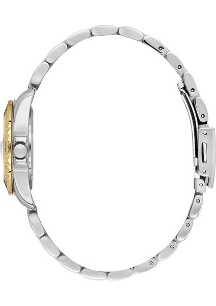 Danıel Kleın DK102-DK.6.14134-3 Altın Kaplama Taşlı Kadın Kol Saati fiyatları