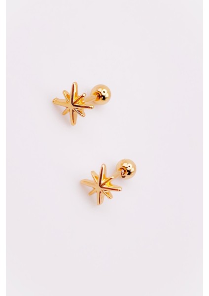 Cerrrahi Çelik Piercing ( Pirsing ) Mini Kuzey Yıldızı Tragus Helix Piercing (1ADET) modelleri