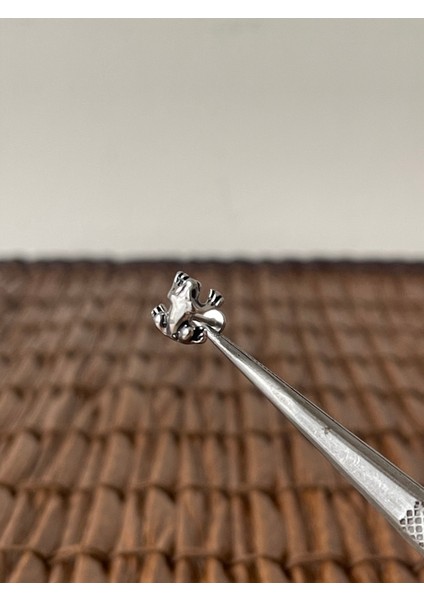 316 L Cerrahi Çelik Helix Tragus Kıkırdak Conch Piercingi