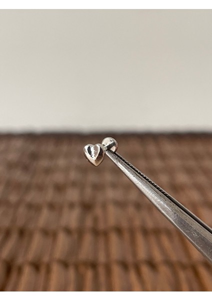 316 L Cerrahi Çelik Kalp Modeli Dudak Helix Tragus Kıkırdak Conch Piercing