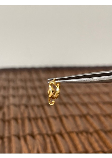 Pirinç Rodyum Kaplama Deniz Atı Kıkırdak Helix Tragus Piercingi