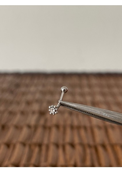 316 L Cerrahi Çelik Kaş Piercingi Kulak Snug Helix Kıkırdak Daith Conch Rook Tragus Piercing