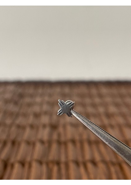 316 L Cerrahi Çelik Kızılderili Güneşi Dudak Helix Tragus Kıkırdak Conch Piercing