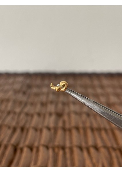 316 L Cerrahi Çelik Kanatlı Melek Kalp Helix Tragus Kıkırdak Conch Piercingi