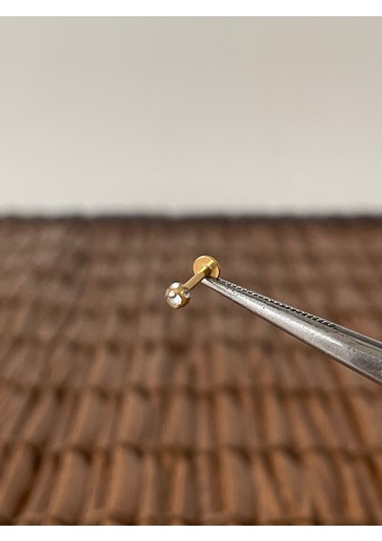 316 L Cerrahi Çelik Taşlı Minimal Tasarım Dudakhelix Tragus Kıkırdak Conch Piercingi