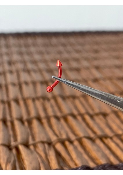 316 L Cerrahi Çelik Kaş Kulak Snug Helik Kıkırdan Daith Conch Rokk Tragus Piercing