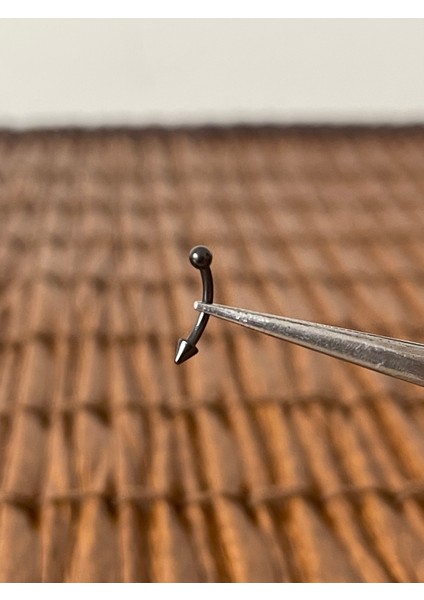 316 L Cerrahi Çelik Kaş Kulak Snug Helik Kıkırdan Daith Conch Rokk Tragus Piercing