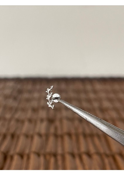 316 L Cerrahi Çelik Zeytin Dalı Dudak Helix Tragus Kıkırdak Conch Piercingi