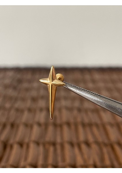 316 L Cerrahi Çelik Kutup Haç Helix Tragus Kıkırdak Conch Piercing