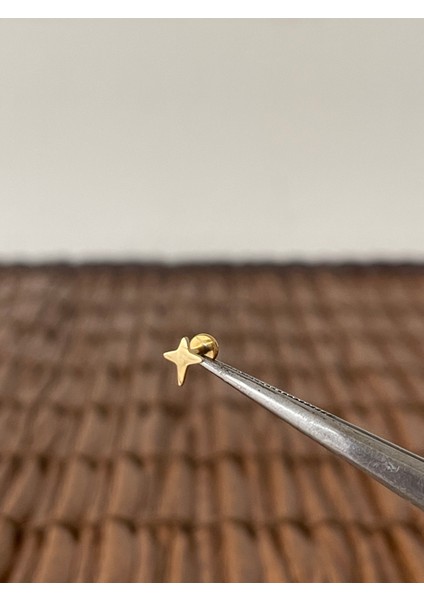 316 L Cerrahi Çelik Kuzey Yıldızı Dudak Helix Tragus Kıkırdak Conch Piercing