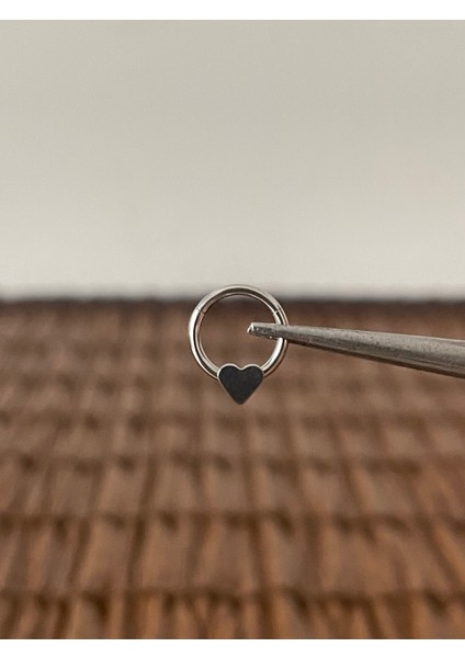 316 L Cerrahi Çelik Halka Piercing Kıkırdak Helix Tragus Piercingi