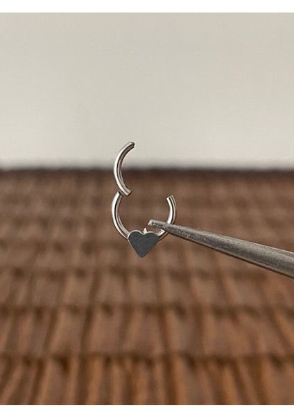 316 L Cerrahi Çelik Halka Piercing Kıkırdak Helix Tragus Piercingi fiyatları