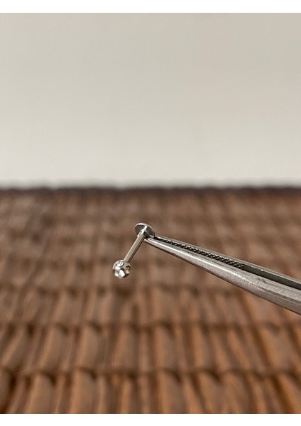 316 L Cerrahi Çelik Taşlı Minimal Tasarım Dudakhelix Tragus Kıkırdak Conch Piercingi
