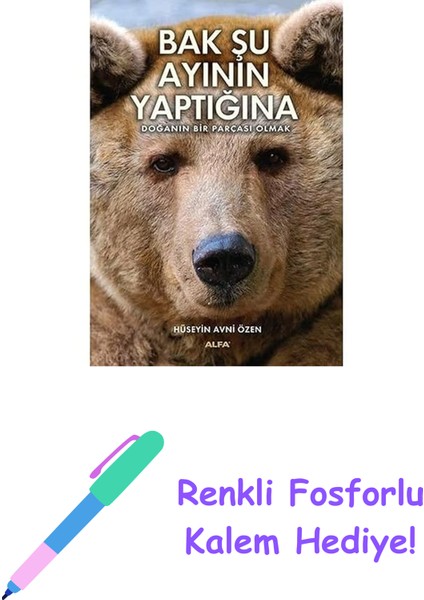 Bak Şu Ayının Yaptığına: Doğanın Bir Parçası Olmak + Renkli Fosforlu Kalem