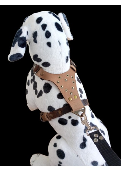 Köpek Göğüs Tasması küçük ırk hakiki deri vizon göğüs ölçüsü:30-60cm ayarlamalı dog harness Gt1-34 fiyatları