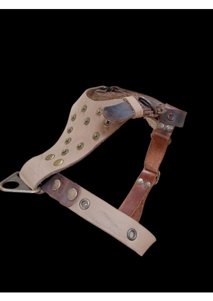 Köpek Göğüs Tasması küçük ırk hakiki deri vizon göğüs ölçüsü:30-60cm ayarlamalı dog harness Gt1-34 modelleri