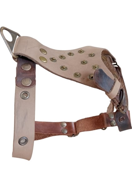 Köpek Göğüs Tasması küçük ırk hakiki deri vizon göğüs ölçüsü:30-60cm ayarlamalı dog harness Gt1-34