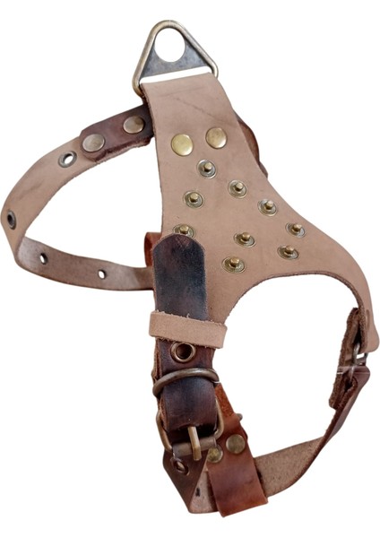 Köpek Göğüs Tasması küçük ırk hakiki deri vizon göğüs ölçüsü:30-60cm ayarlamalı dog harness Gt1-34 indirimleri