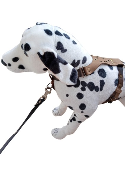 Köpek Göğüs Tasması küçük ırk hakiki deri vizon göğüs ölçüsü:30-60cm ayarlamalı dog harness Gt1-34