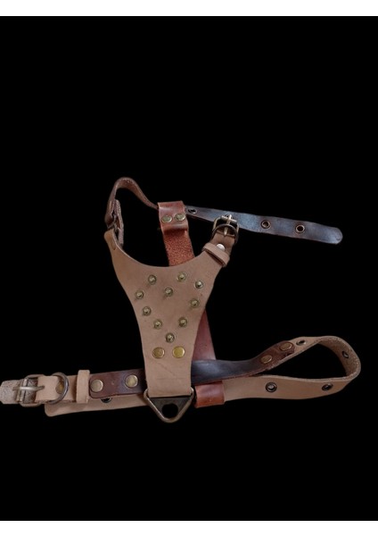 Köpek Göğüs Tasması küçük ırk hakiki deri vizon göğüs ölçüsü:30-60cm ayarlamalı dog harness Gt1-34
