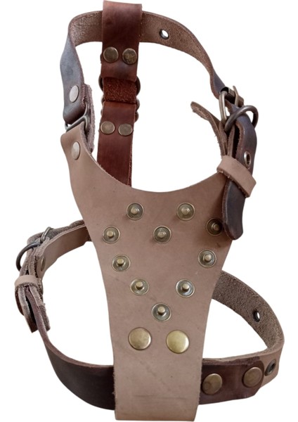 Köpek Göğüs Tasması küçük ırk hakiki deri vizon göğüs ölçüsü:30-60cm ayarlamalı dog harness Gt1-34