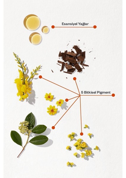 Phyto Color Saç Boyası - Siyah 1 indirimleri