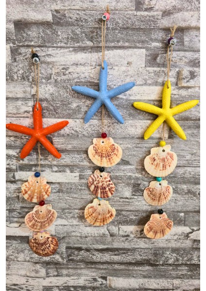 3 Adet Renkli Deniz Yıldızı Deniz Kabuklu Renkli Yeni Set fiyatları