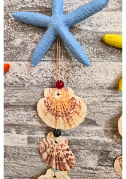 3 Adet Renkli Deniz Yıldızı Deniz Kabuklu Renkli Yeni Set modelleri