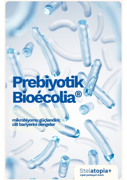 Asfstore Mustela Stelatopia Cream 150 ml 2 Adet