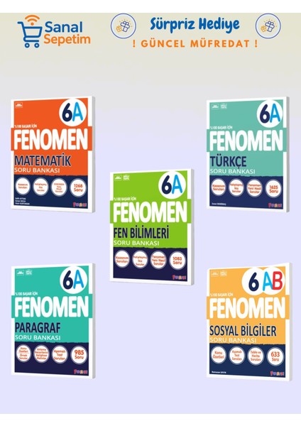6. Sınıf Matematik + Fen Bilimleri + Türkçe + Paragraf + Sosyal Bilgiler (A Set) Soru Bankaları