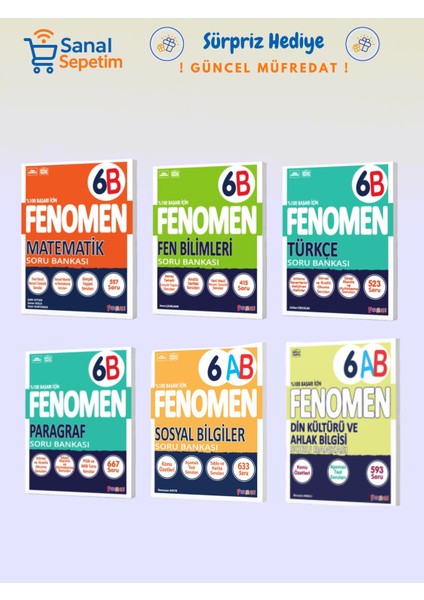 6. Sınıf Matematik + Fen B. + Türkçe + Paragraf + Sosyal B. + Din K. (B Set) Soru Bankaları